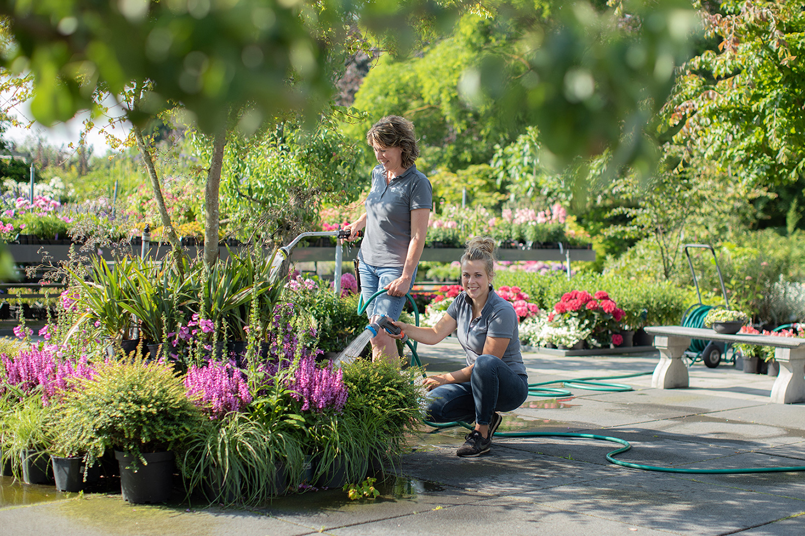 Beplanting hulp tuincentrum Huiting Vianen