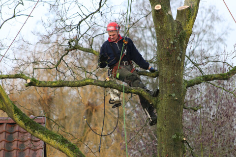 Hoveniersbedrijf huiting 14
