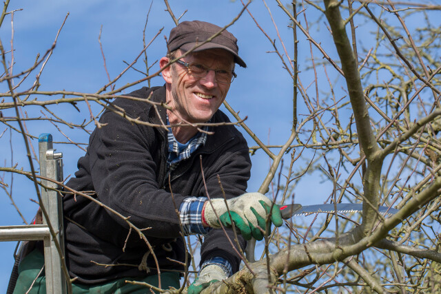 Hoveniersbedrijf huiting 18