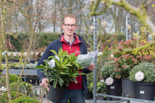 Hoveniersbedrijf huiting 5