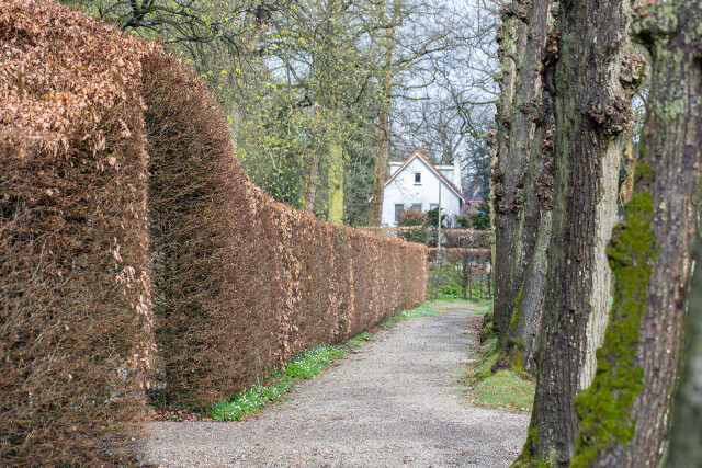 Huiting erfgoedhoveniers 7