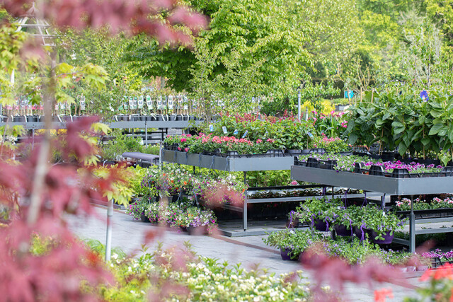 Huiting tuincentrum buiten liggend