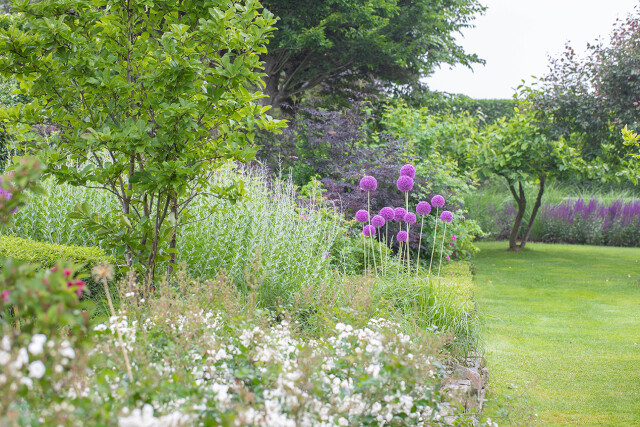 Huiting Vianen Beplantingsplan Zomerse tuin