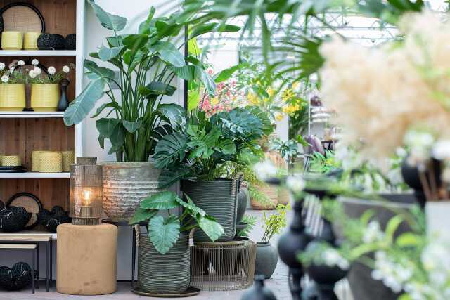 Huiting Vianen Tuincentrum Binnenplanten