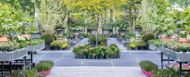 Huiting Vianen Tuincentrum Buitenplanten omgeving Utrecht