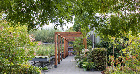 Huiting Vianen Tuincentrum Groot tuincentrum