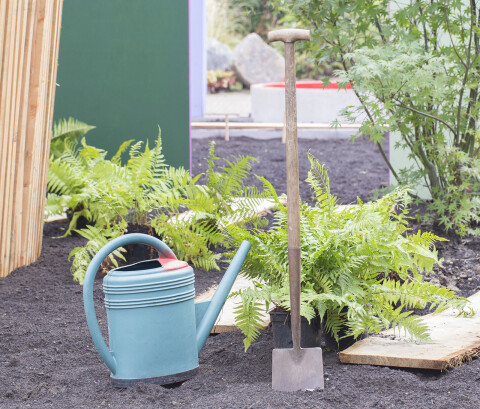 Plantinstructies bomen
