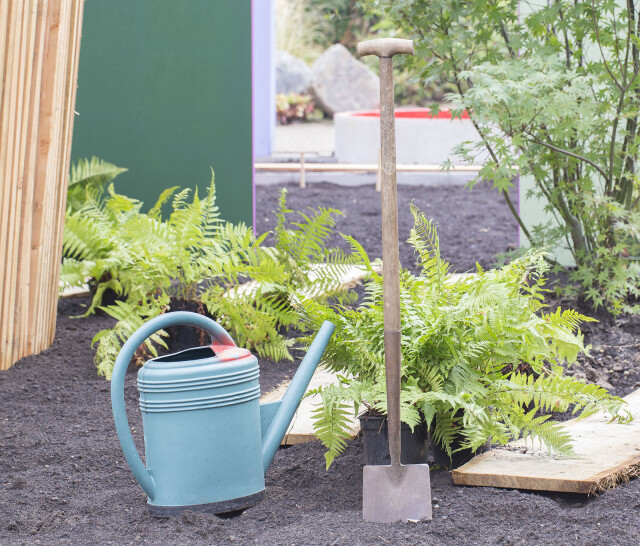 Plantinstructies bomen