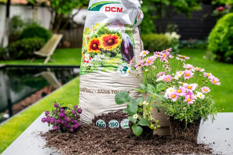 Potgrond DCM Tuincentrum Huiting Vianen