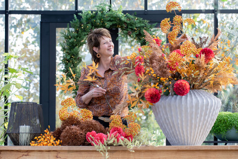 Willeke van Middelkoop web